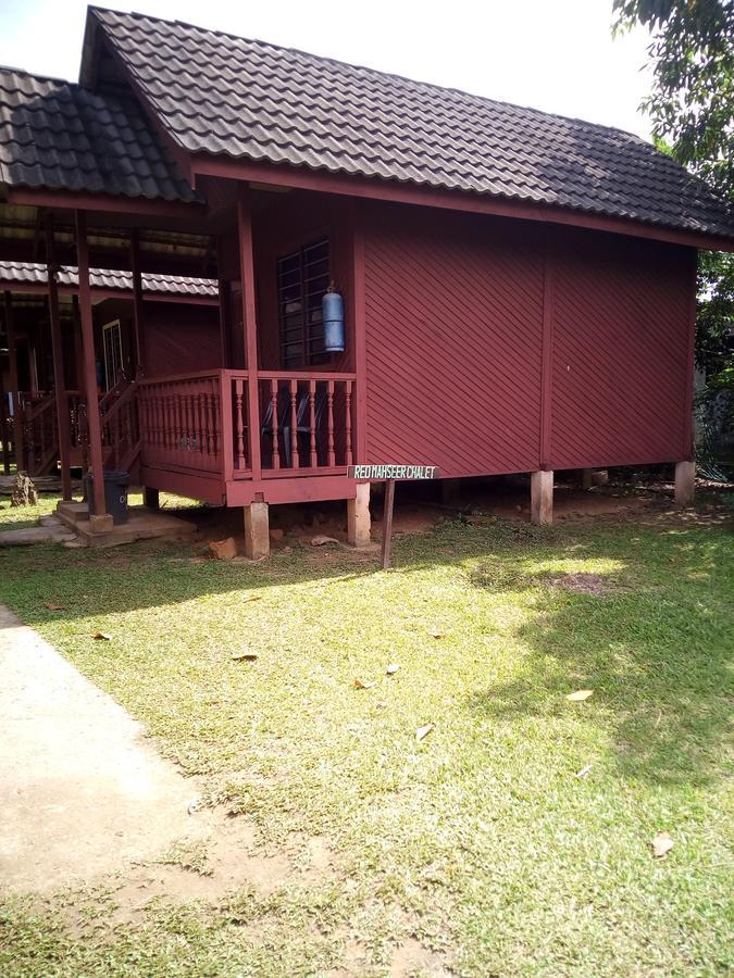 Mahseer Chalet Villa Kuala Tahan Exterior photo